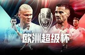 勒沃库森vs斯图加特德国杯